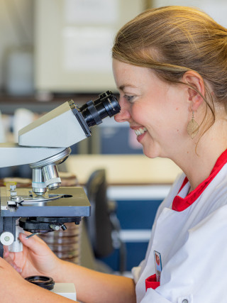 Labotechnicus onderzoekt stalen op een scope